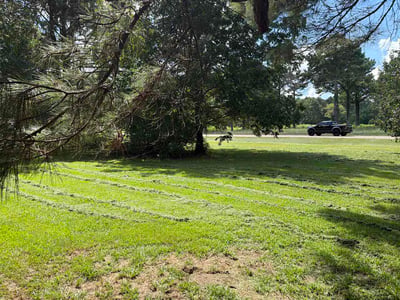 Lawn care service in Madison, 39110