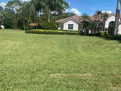 Lawn care service in West Palm Beach, 33412
