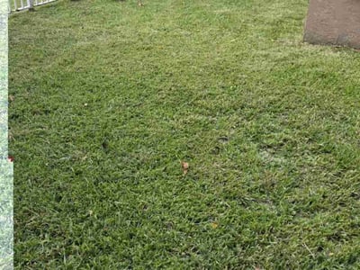 Lawn care service in Pembroke Pines, 33028