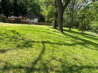 Lawn care service in Bethesda, 20814