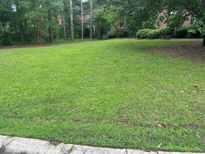 Lawn care service in Columbia, 29212