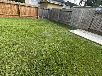 Lawn care service in Spring, 77373