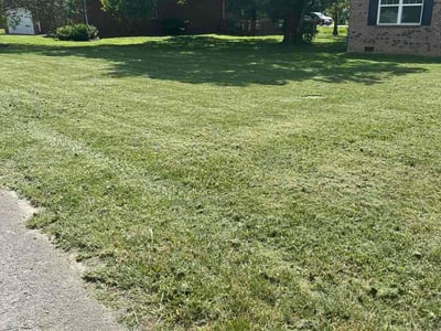 Lawn care service in Bardstown, 40004