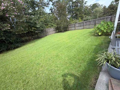 Lawn care service in Summerville, 29485