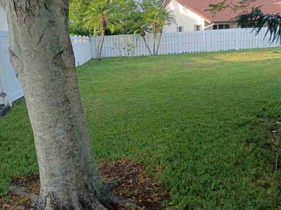 Lawn care service in Pembroke Pines, 33029