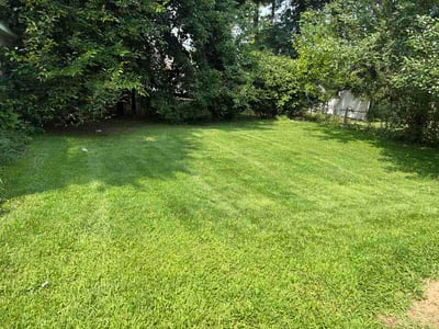 Lawn care service in East Hartford, 06108