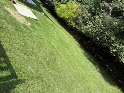 Lawn care service in Buford, 30518