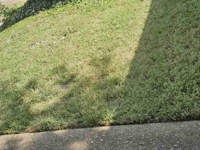Lawn care service in Richmond, 23222