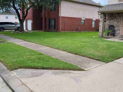 Lawn care service in Houston, 77086