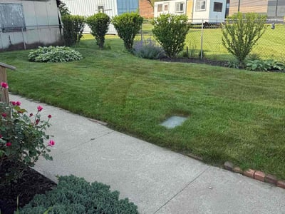 Lawn care service in Detroit, 48207