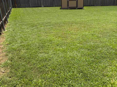Lawn care service in San Antonio, 78218