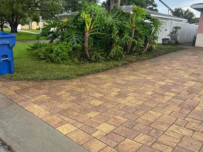 Lawn care service in St. Petersburg, 33708