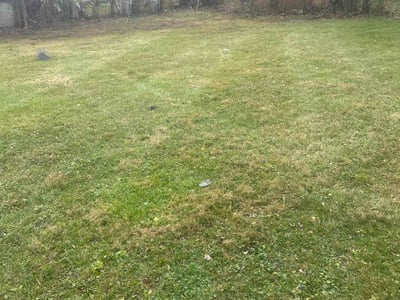 Lawn care service in Inkster, 48141