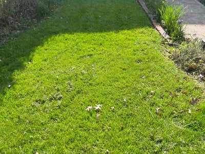 Lawn care service in Pittsburgh, 15221