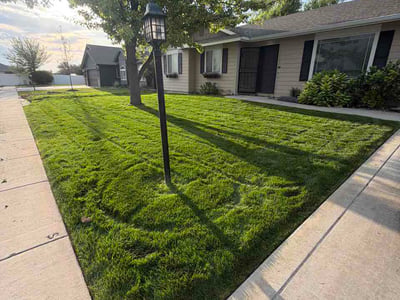 Lawn care service in Nampa, 83686
