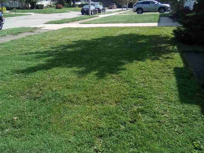 Lawn care service in Cleveland, 44109