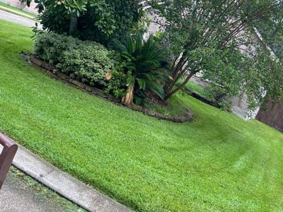 Lawn care service in Conroe, 77384