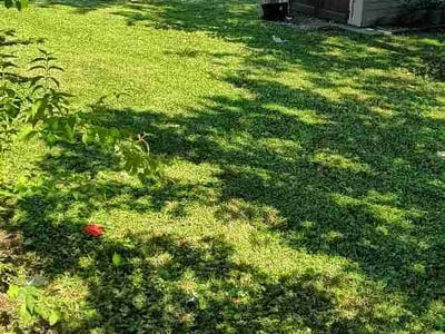 Lawn care service in Rosedale, 21237