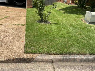 Lawn care service in Memphis, 38016