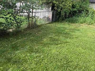 Lawn care service in Columbus, 43230