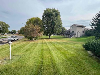 Lawn care service in Minneapolis, 55445