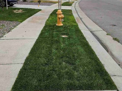 Lawn care service in Commerce City, 80022