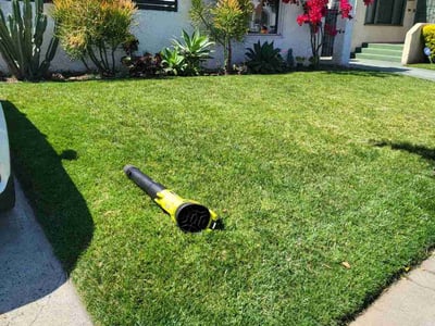 Lawn care service in Los Angeles, 90044