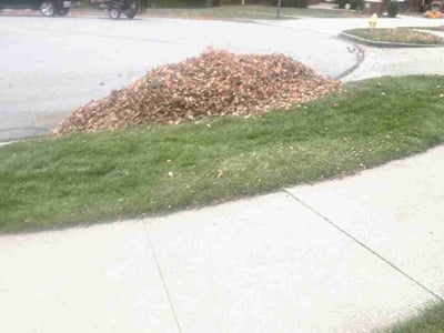 Lawn care service in Fort Wayne, 46825