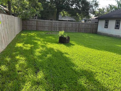 Lawn care service in Highlands, 77562