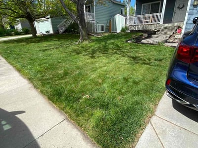 Lawn care service in Parker, 80134