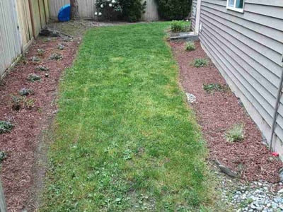 Lawn care service in Sammamish, 98075