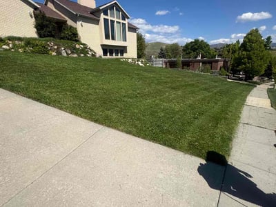 Lawn care service in Salt Lake City, 84103