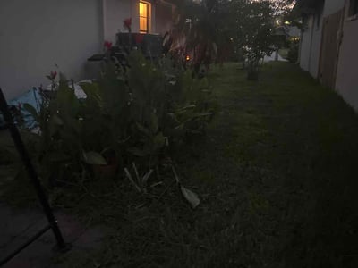 Lawn care service in NEW PRT RCHY, 34652