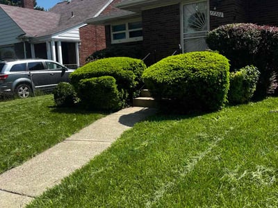 Lawn care service in Detroit, 48234