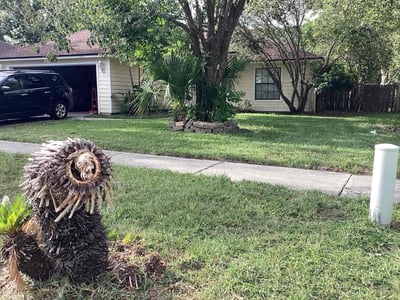 Lawn care service in Jacksonville, 32244
