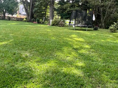 Lawn care service in Silver Spring, 20904