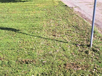 Lawn care service in Garland, 75042