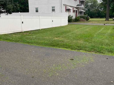 Lawn care service in New Britain, 06053