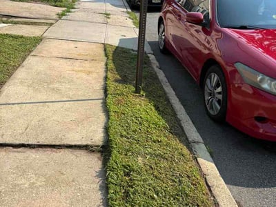 Lawn care service in Irvington, 07111