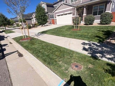 Lawn care service in Parker, 80134