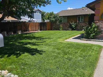 Lawn care service in Reno, 89502