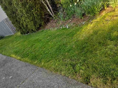 Lawn care service in Kent, 98042