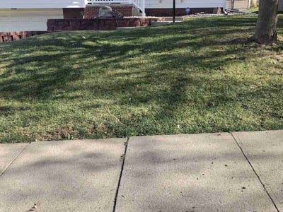 Lawn care service in , 