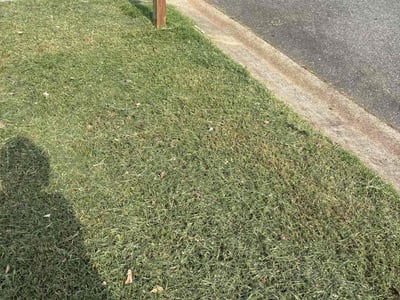Lawn care service in Statesville, 28625