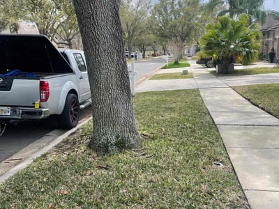 Lawn care service in Tampa, 33618