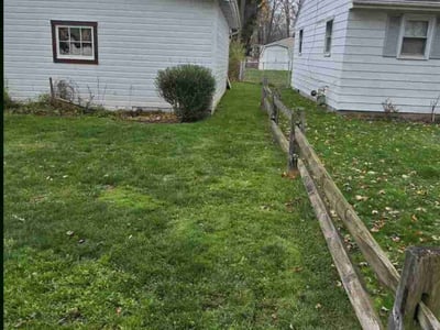 Lawn care service in Mentor, 44060