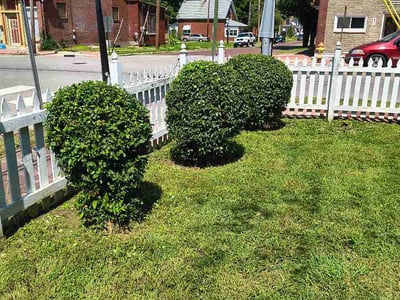 Lawn care service in Belleville, 62220