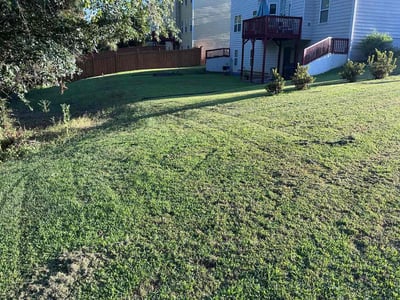 Lawn care service in Fairburn, 30213