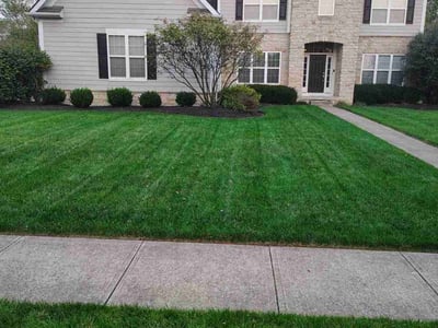 Lawn care service in New Albany, 43054