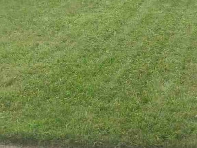 Lawn care service in Evesham, 08053